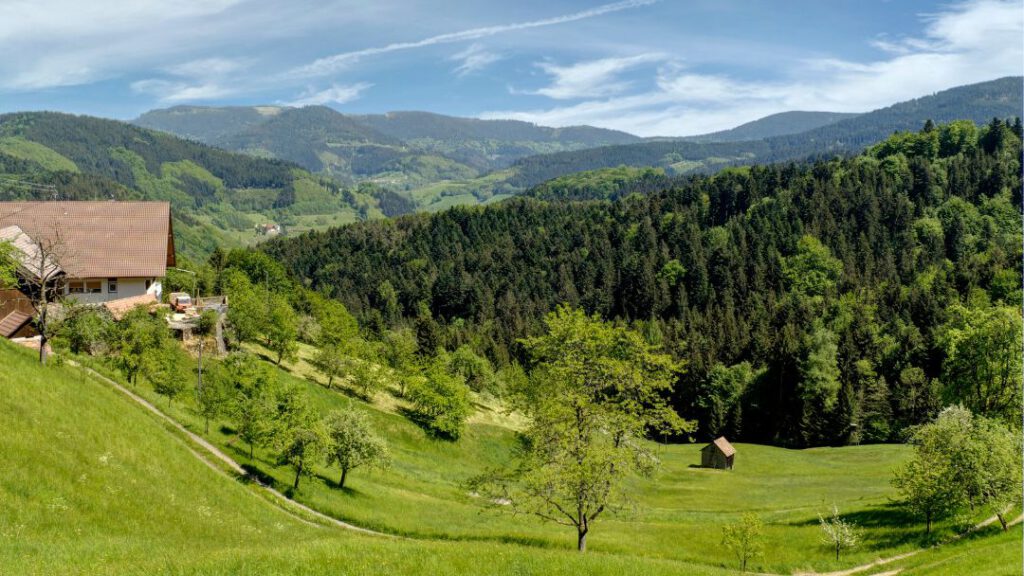 Patchwork Deluxe - Urlaub im Schwarzwald