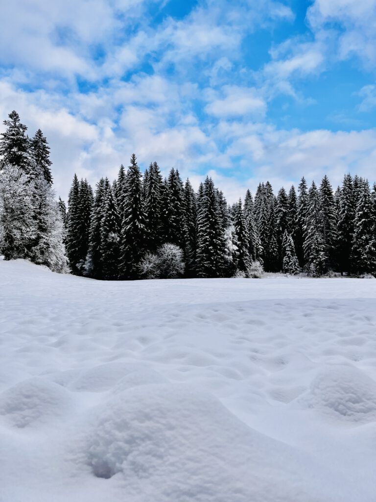 Patchwork Deluxe - Schneewandern im Schwarzwald