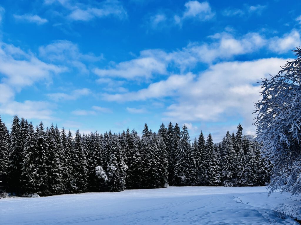 Patchwork Deluxe - Urlaub am Feldberg